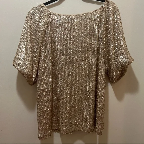 Ann Taylor gold sequin raglan sleeve top  short sleeves large NWT - Picture 3 of 8